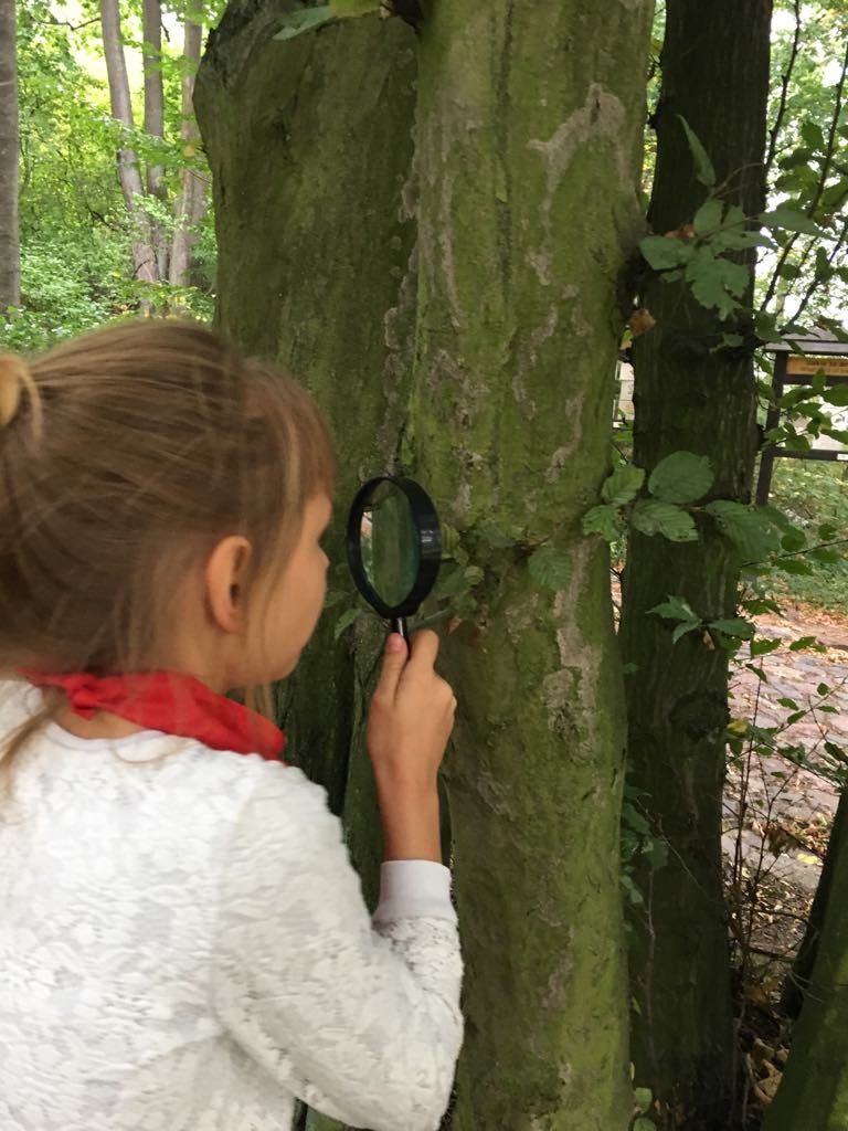 zajęcia edukacyjne